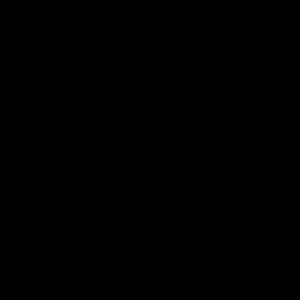 Meet your Posher, Nidia